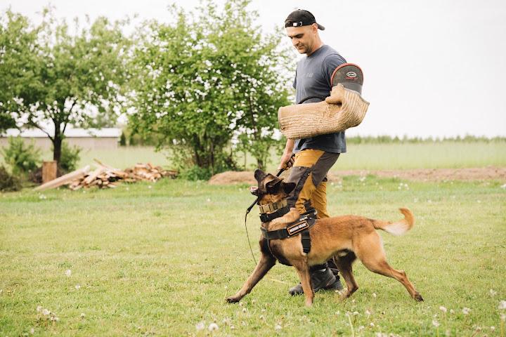 Czynniki wpływające na zarobki trenerów