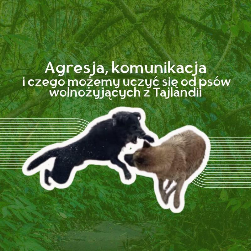 Komunikacja człowiek–pies