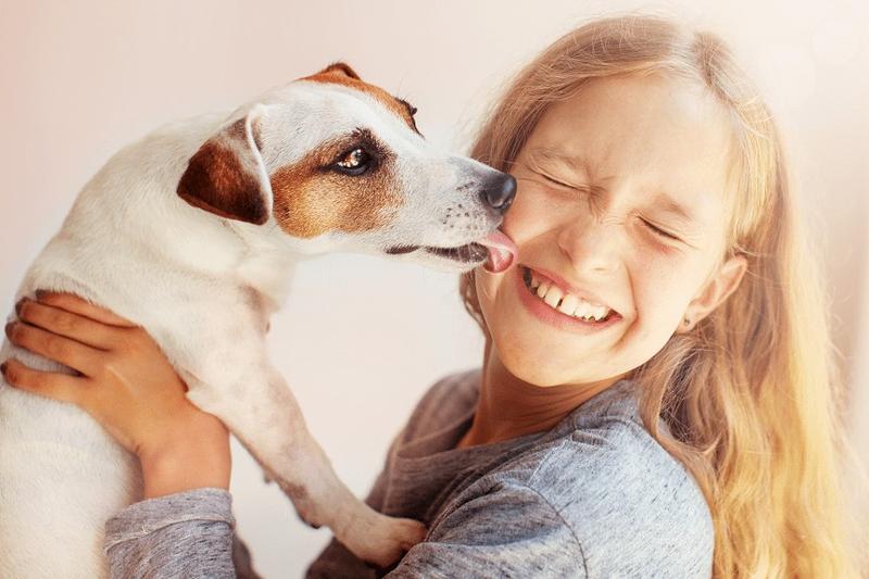Komunikacja psów z człowiekiem
