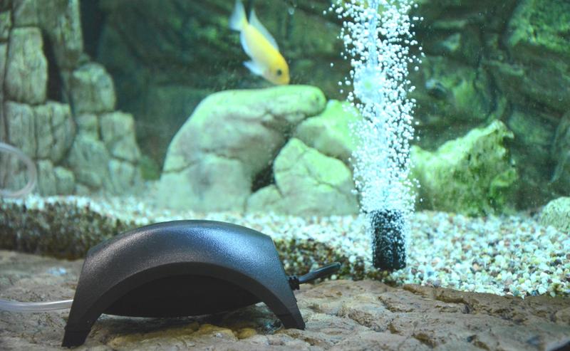 Metody napowietrzania akwarium