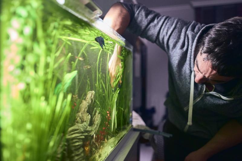 Narzędzia do czyszczenia szyb akwarium