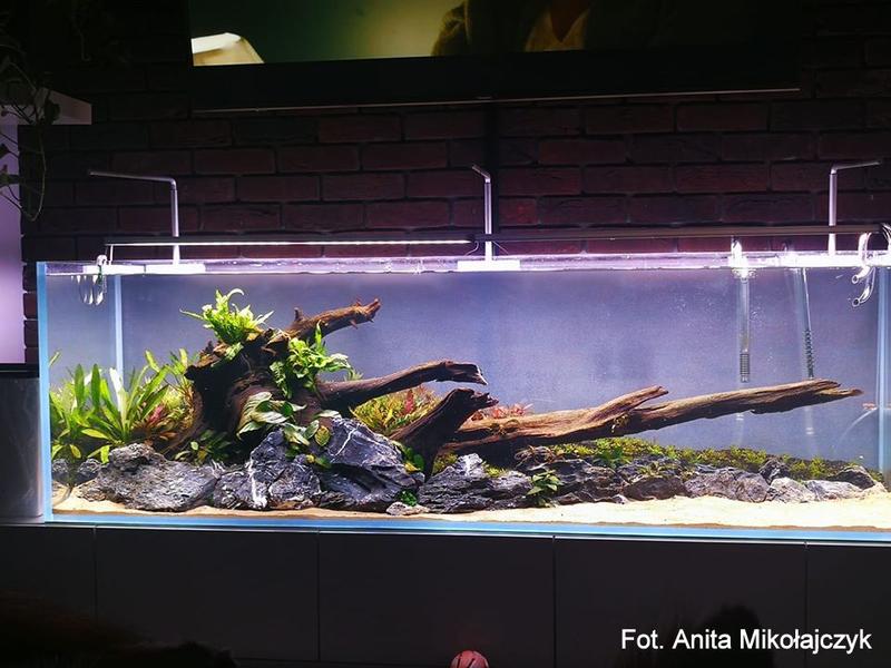 Naturalne siedlisko w akwarystyce