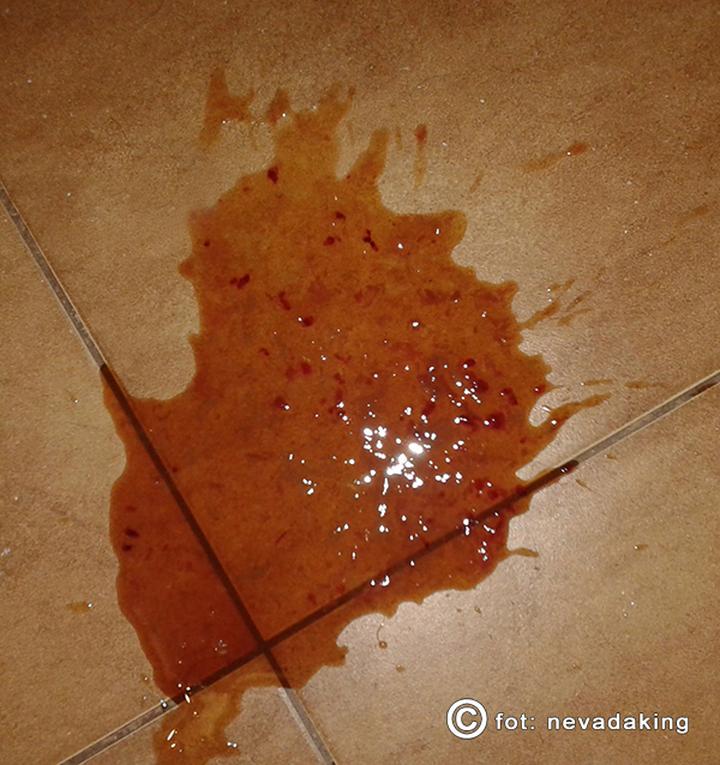 Objawy alarmowe u psa