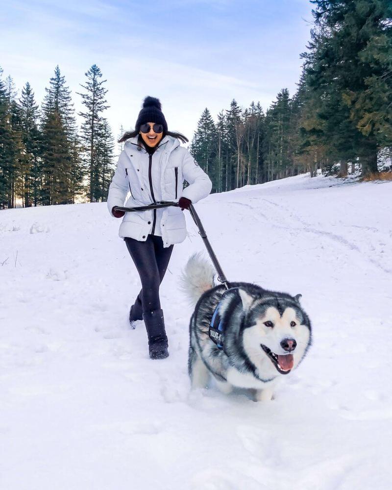 Opieka nad psami Zakopane