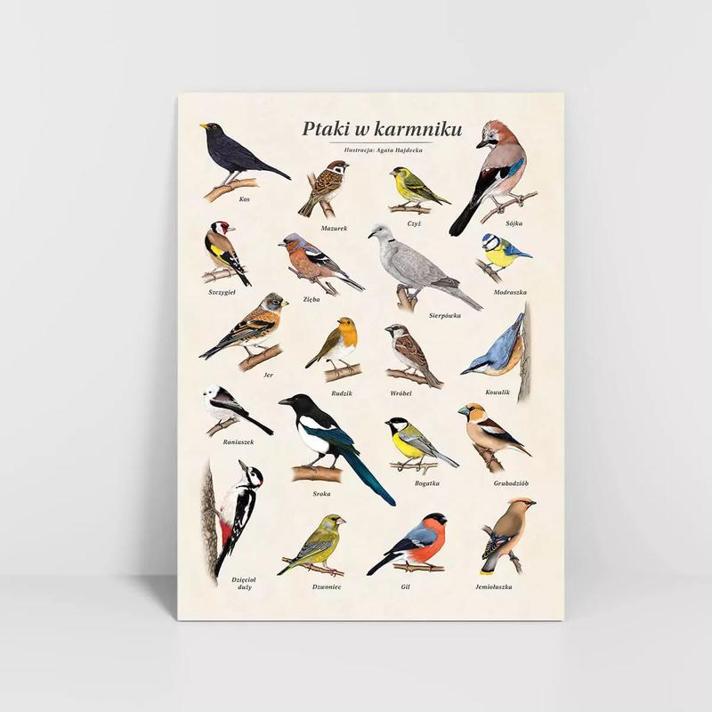 Strategie przetrwania i zachowania ptaków