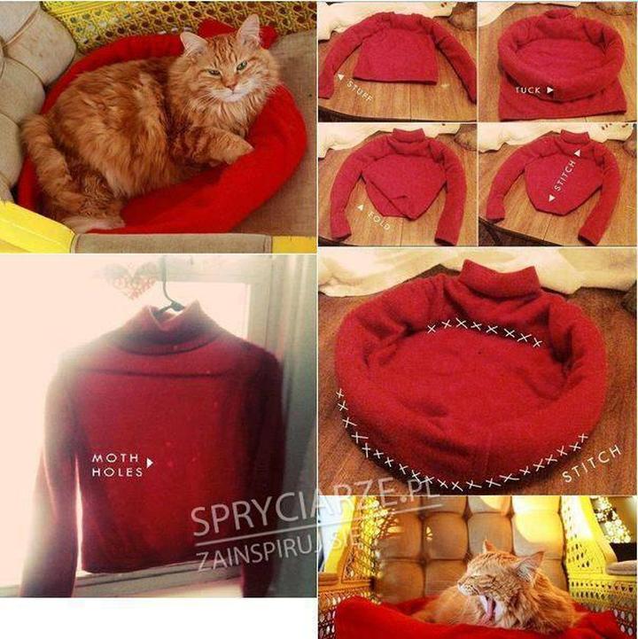 Upcykling swetrów dla pupila