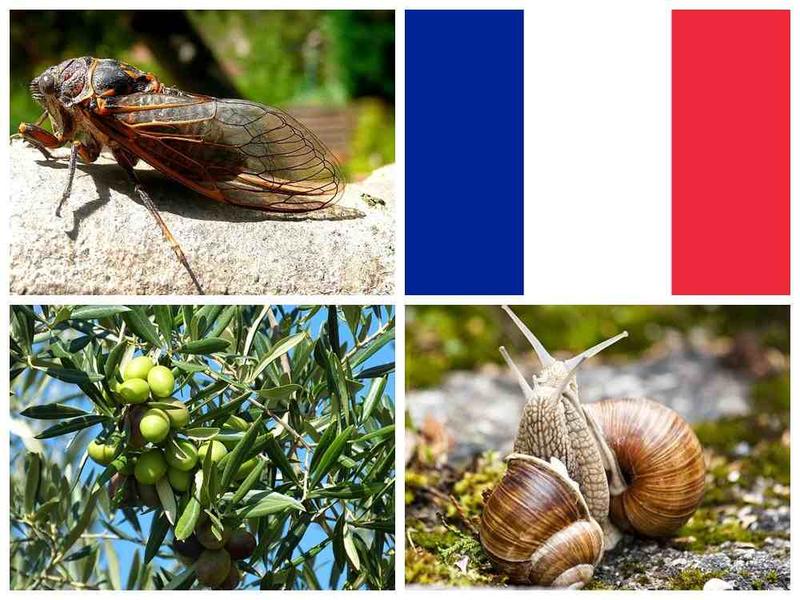 Wpływ zmian klimatycznych na faunę