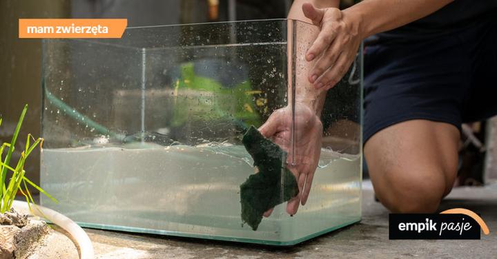 Zapobieganie glonom w akwarium