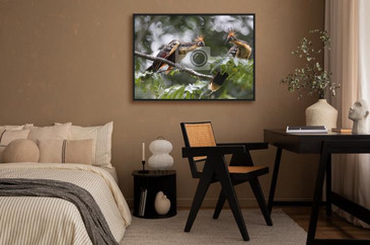 Zapylanie i rozsiewanie nasion przez ptaki