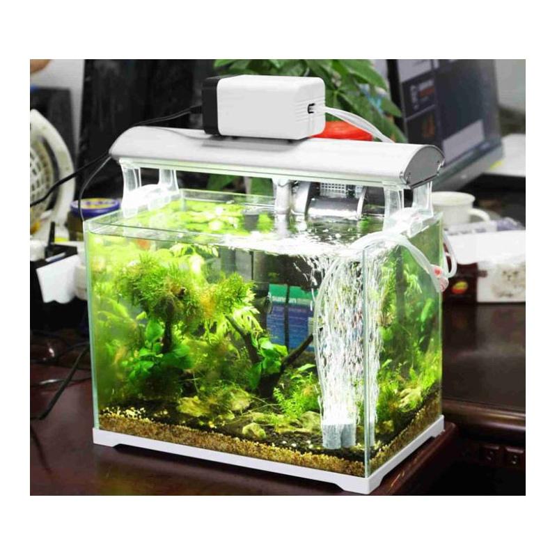 Zdrowie ryb i roślin w akwarium