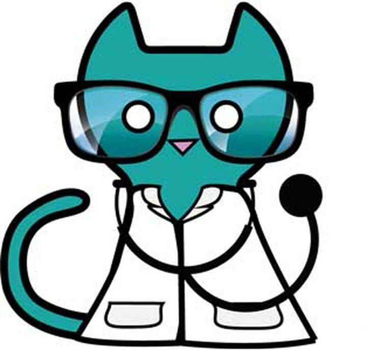 Co mówią koty u weterynarza? Odkrywamy ich tajemnice i reakcje