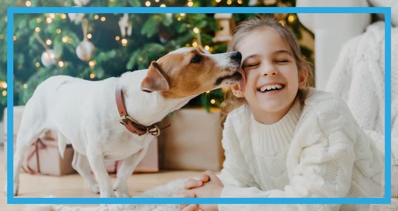 Czemu pies liże rękę? Odkryj tajemnice psiego zachowania!