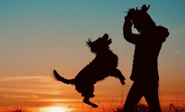 Idealny opiekun psa – jakie cechy powinien posiadać?