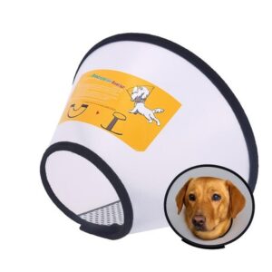 Ile zapłacisz za zdjęcie szwów u kota? Przewodnik dla właścicieli zwierząt