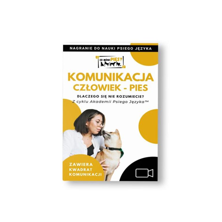 Jak pies rozumie człowieka – tajemnice psiej komunikacji