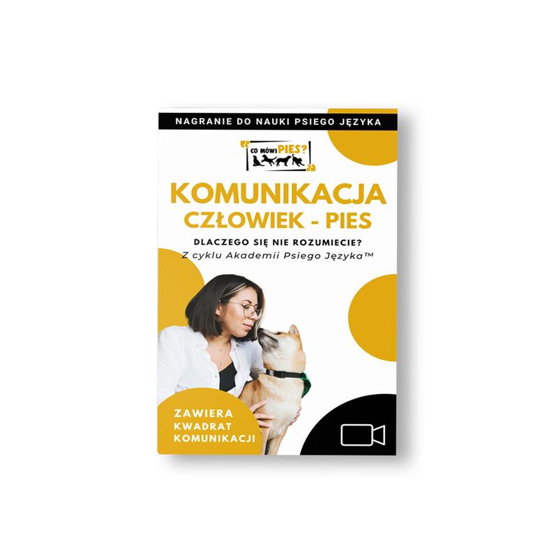 Jak pies rozumie człowieka – tajemnice psiej komunikacji
