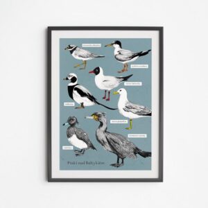 Jakie tajemnice skrywają ptaki: zmiennocieplne czy stałocieplne?