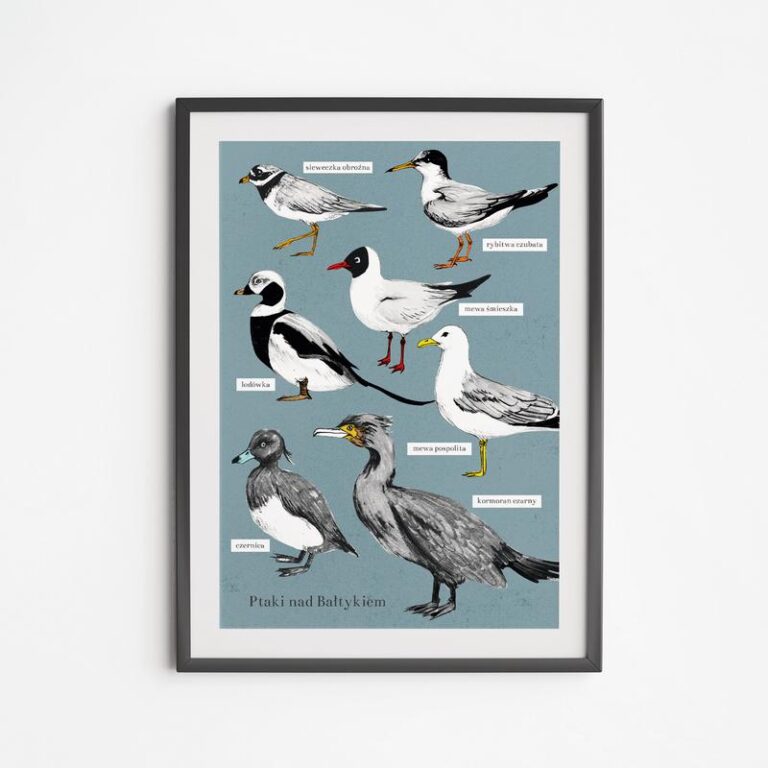 Jakie tajemnice skrywają ptaki: zmiennocieplne czy stałocieplne?