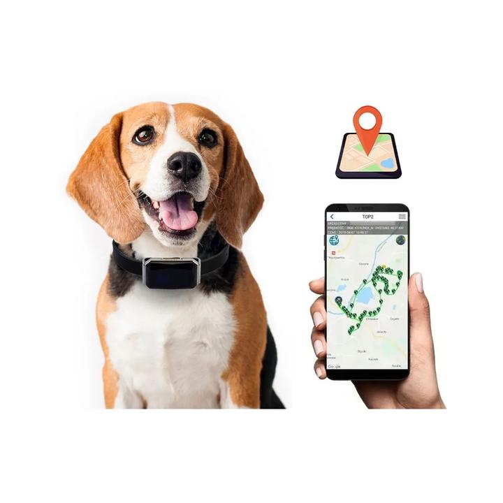 Najlepszy lokalizator dla psa bez abonamentu – wybierz idealne rozwiązanie dla swojego pupila