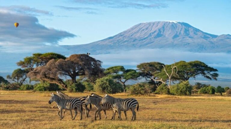 Odkryj fascynujący świat zwierząt, które żyją w Kenii