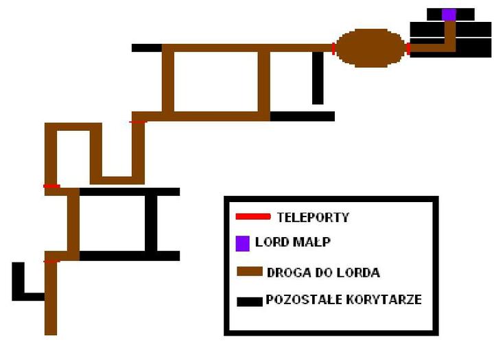 Odkryj, jak dojść do lorda małp i zdobyć jego zaufanie