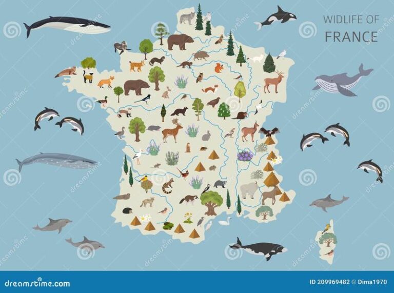 Odkryj niezwykły świat: jakie zwierzęta zamieszkują Francję?