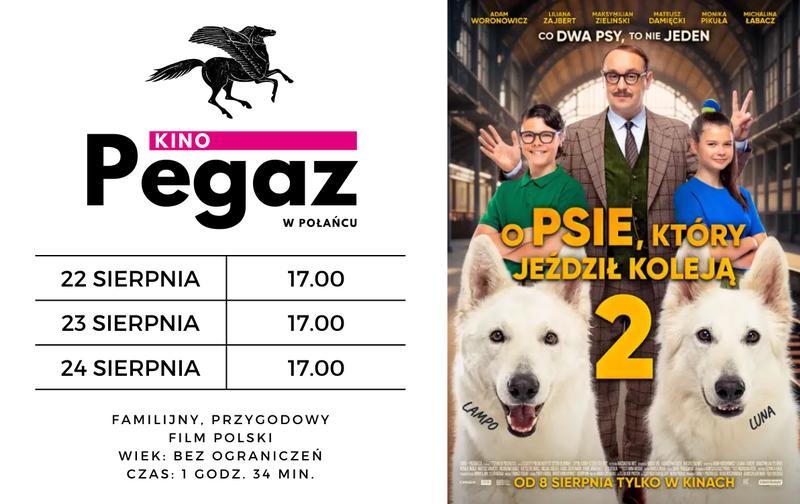 Pies, który jeździł koleją: opowieść o niezwykłym towarzyszu podróży