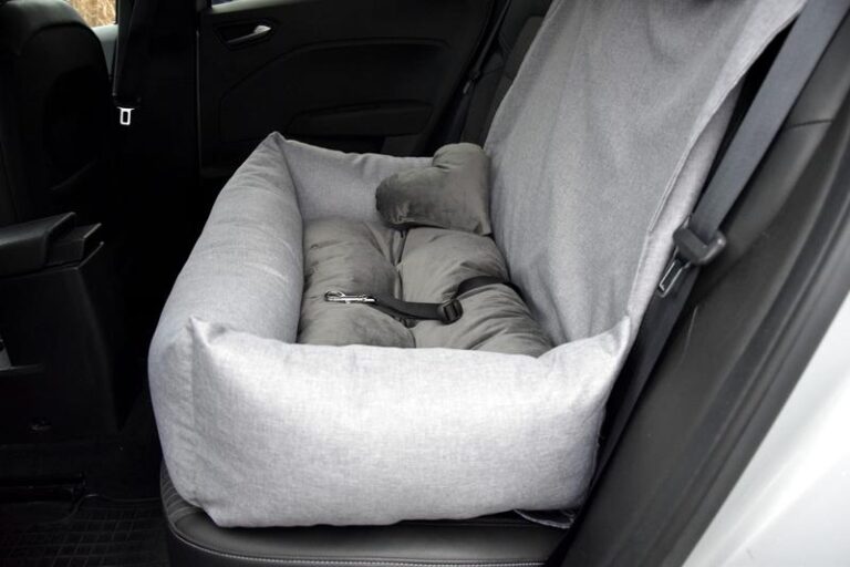 Wybór fotelika samochodowego dla psa – co warto wiedzieć?