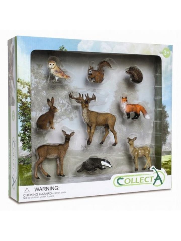 Adaptacje zwierząt do dostępności grzybów