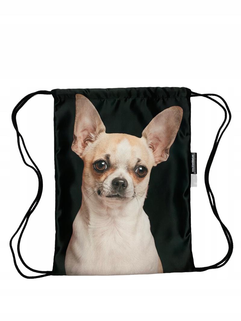 Ankieta jaki pies do mnie pasuje