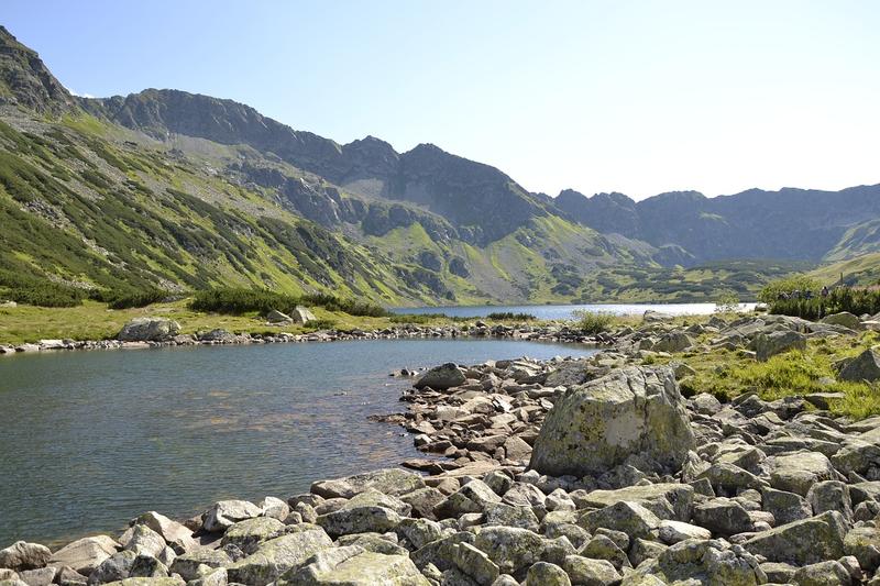 Atrakcje dla psa w Zakopanem