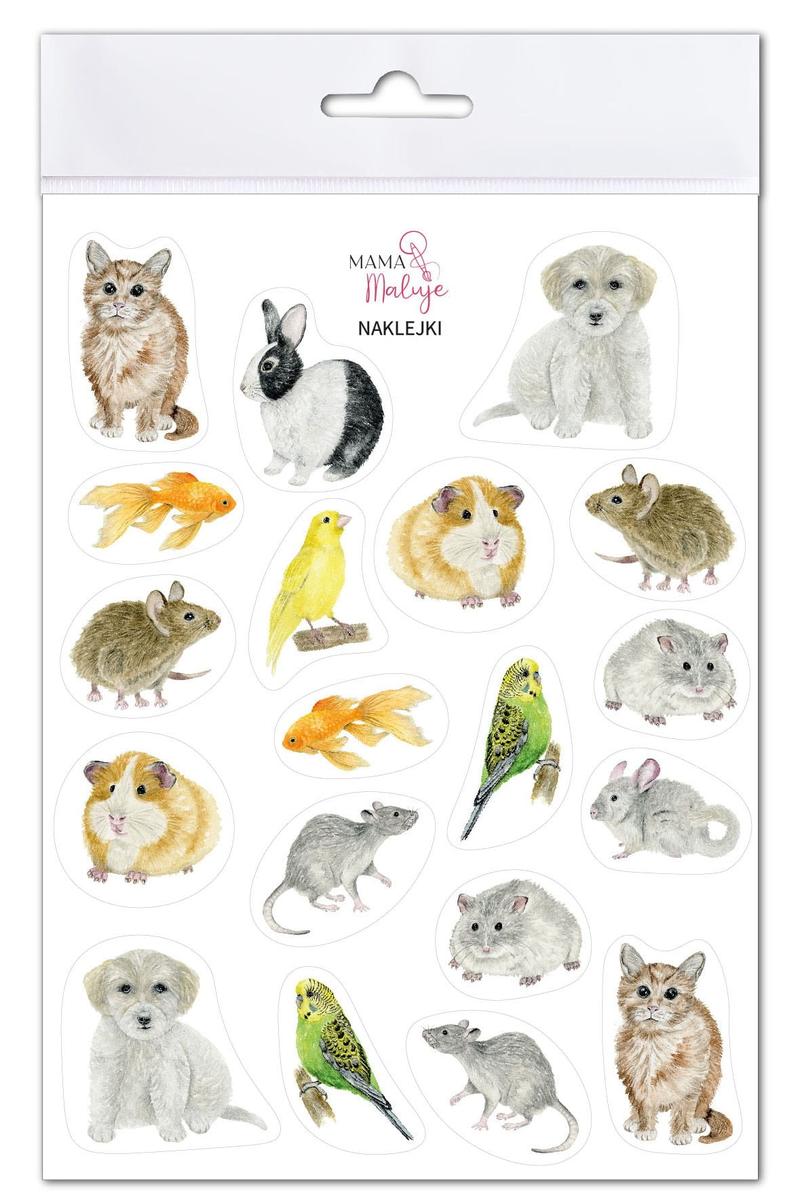 Dieta i żywienie zwierząt domowych