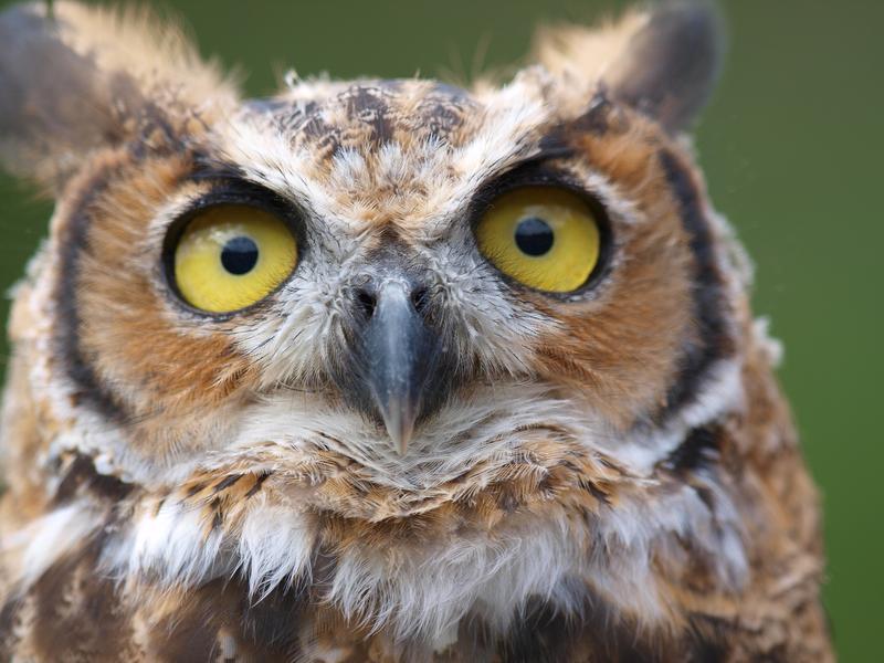 Dojazd do parku w Kadzidłowie