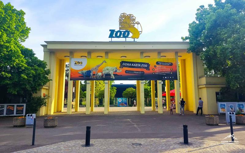 Dojazd tramwajem do wrocławskiego zoo