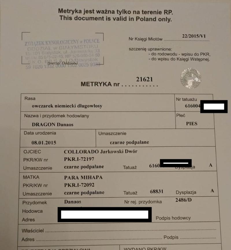 Dokumentacja i formalności kynologiczne