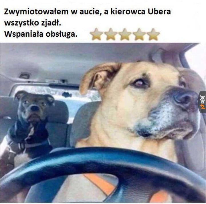 Duży pies w Uberze