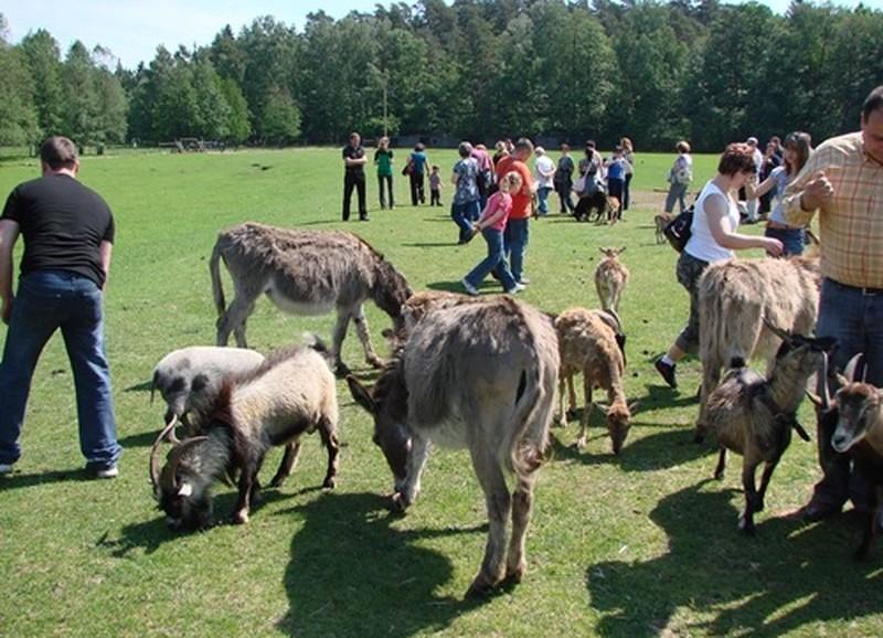 Godziny otwarcia i bilety Kadzidłowo