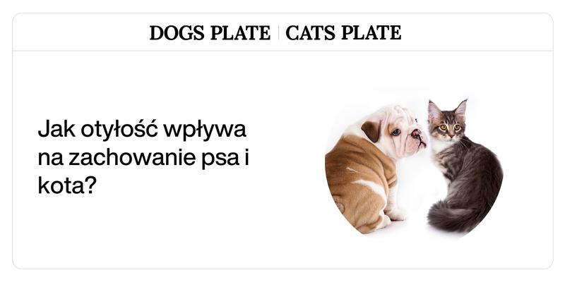 Gryzienie i drapanie u kotów