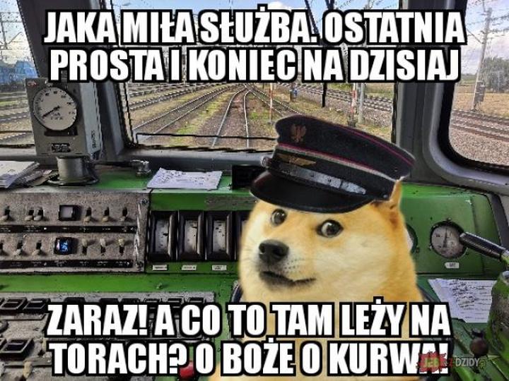 Historia psa podróżnika