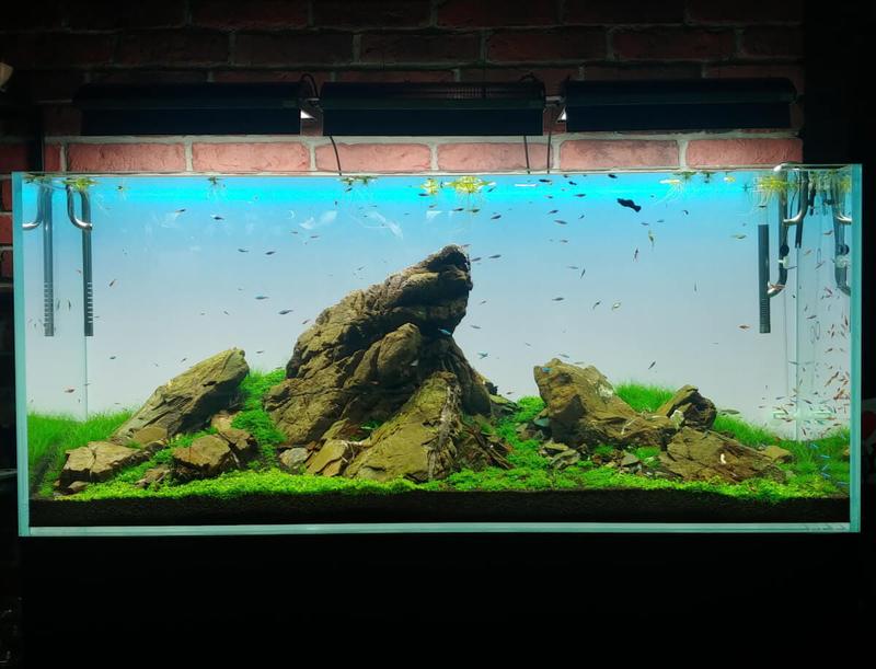 Jak uniknąć błędów przy klejeniu tła