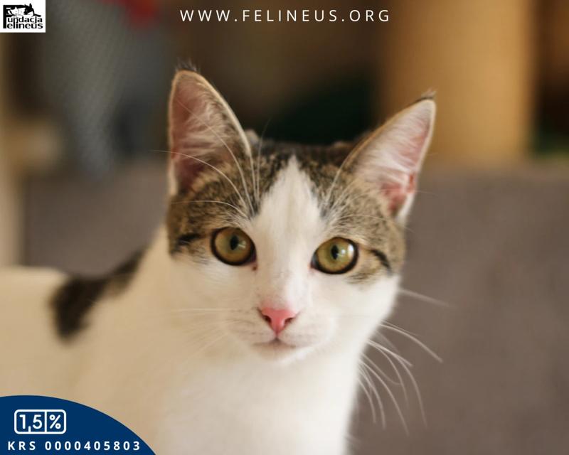 Kontrowersje i fakty o Nike