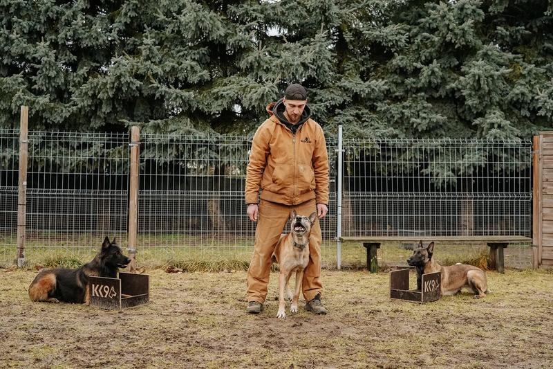 Nauka komendy leżeć