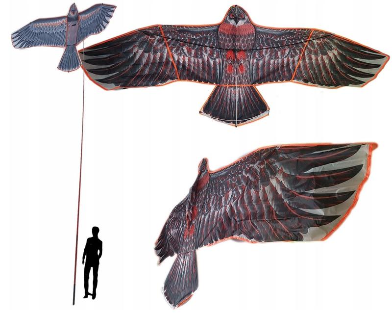 Odstraszanie ptaków na balkonie