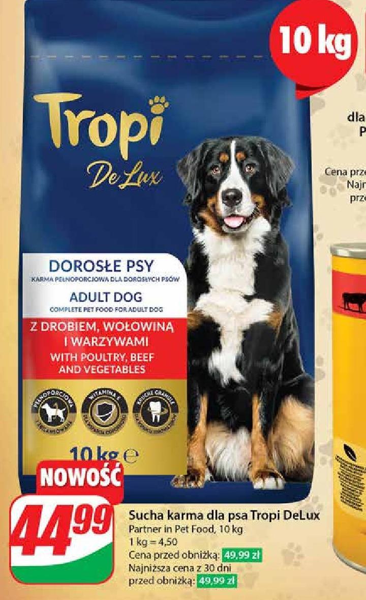 Opinie właścicieli o karmie Tropi