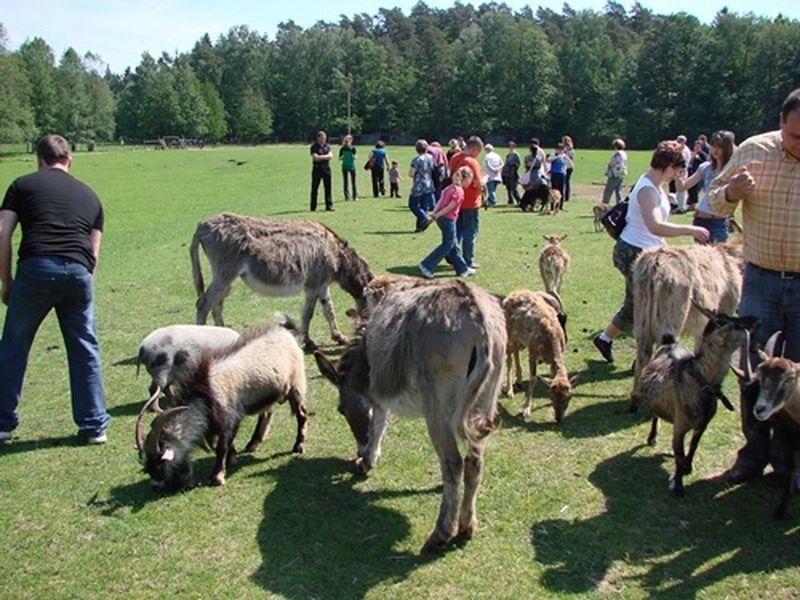 Park dzikich zwierząt Kadzidłowo