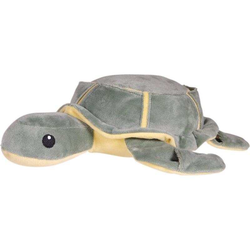 Porady dla akwarystów i miłośników żółwi