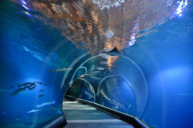 Porady dla rodzin z dziećmi