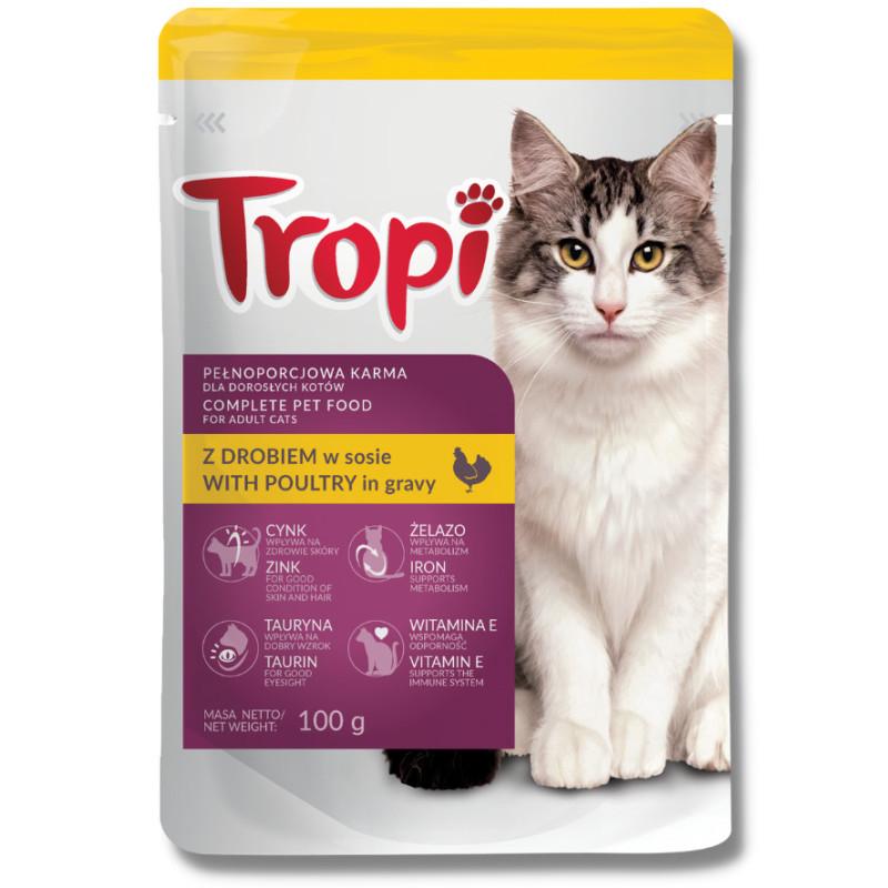 Porównanie karm premium dla psów