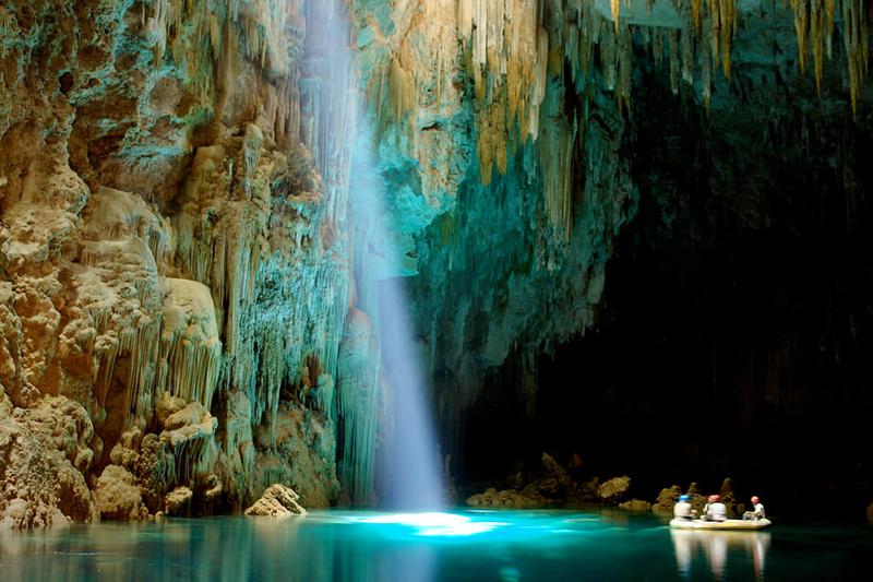 Przyjaźń dziecka i psa