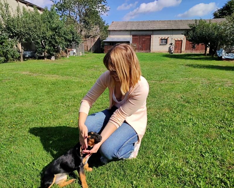 Psie zachowania i emocje